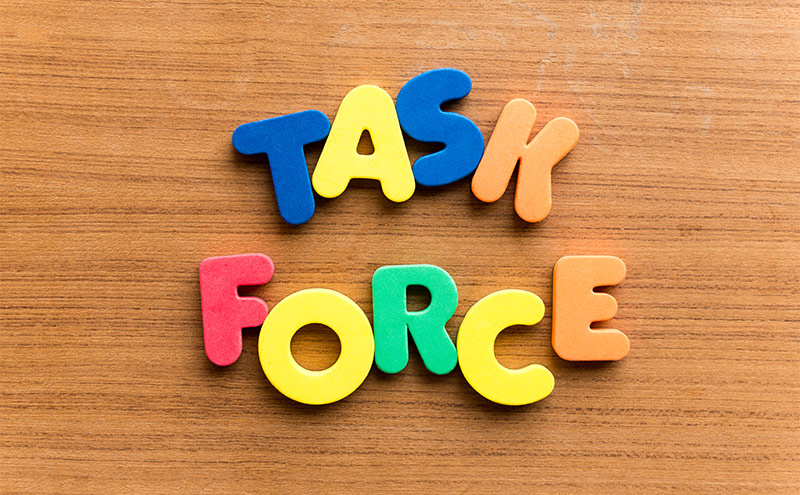 Taskforce Image
